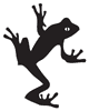 Phrog