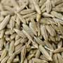 Cumin Seed