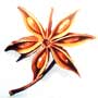 Star Anise